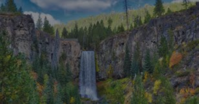 oregon 03 00